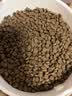素力高（SolidGold）猫粮金素鸡 成猫幼猫进口高蛋白12磅/5.44kg 实拍图