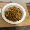 伟嘉猫粮成猫 金装美毛猫粮营养加油站2kg海洋鱼 名目靓毛夹心粮 实拍图