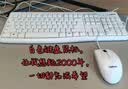 罗技（Logitech）MK120 键鼠套装 有线键鼠套装 办公键鼠套装 电脑键盘 USB即插即用 全尺寸 白色 实拍图
