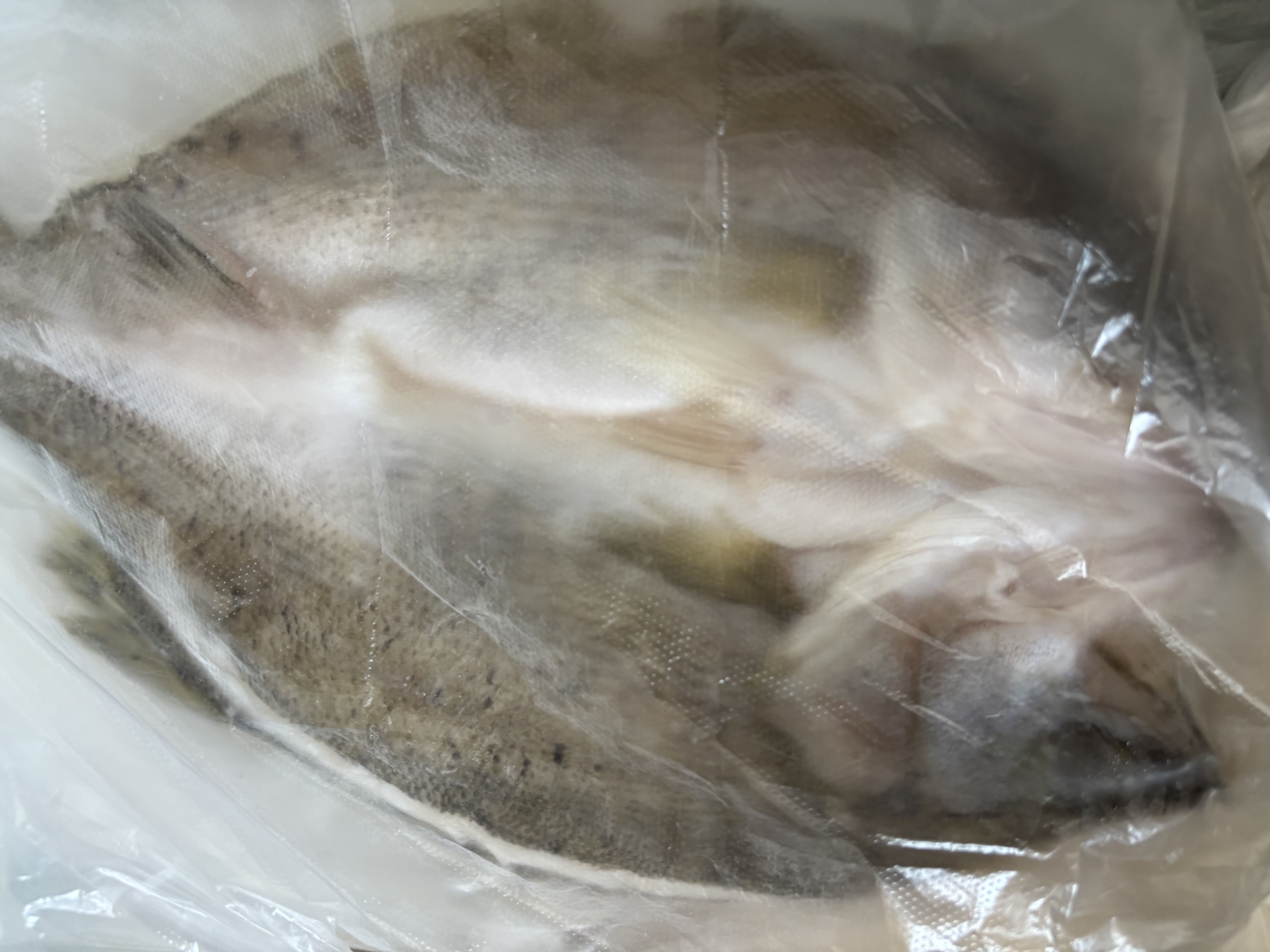 仙泉湖三去白蕉海鲈鱼400g/条净膛冷冻刺少肉厚特产海鲜水产生鲜食材 实拍图