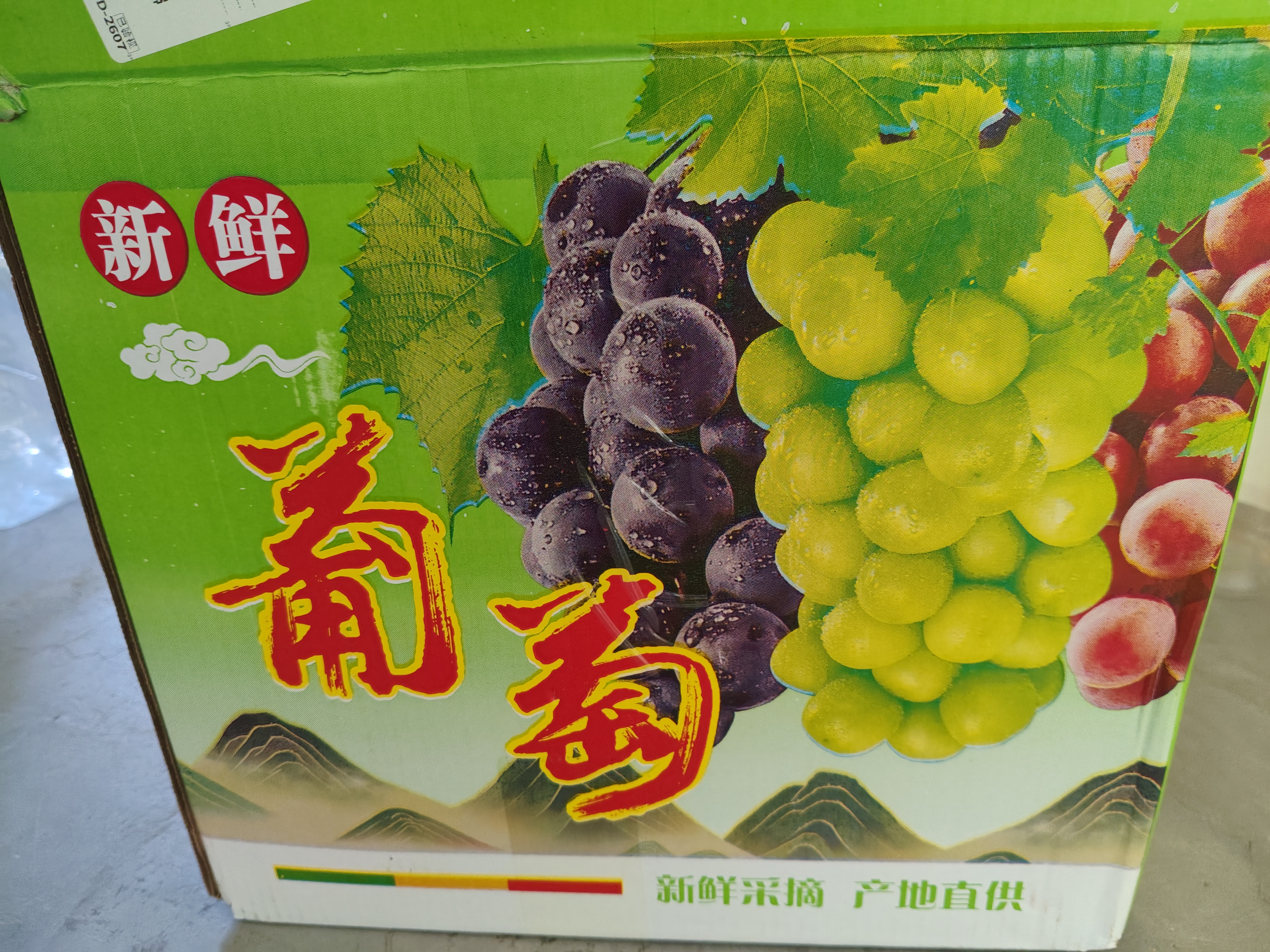阳光玫瑰青提葡萄新鲜水果晴王香印晴王提子整箱产地直发 带箱5斤10g+ 实拍图