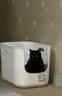 喵洁客（CAT FEVER）金装猫砂进口矿砂钠基矿石除臭低尘膨润土猫砂22磅10kg紫标礼盒装 实拍图