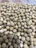新货黄豆农家豆浆豆芽新鲜黄豆高蛋白黄豆非转基因大豆 优质精品黄豆10斤 实拍图