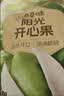 百草味开心果盐焗味100g 每日坚果干果休闲零食特产新老包装随机发 实拍图