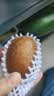 佳沛（zespri）新西兰阳光金奇异果6粒装88-103g猕猴桃水果中秋节礼品送水果礼盒 实拍图