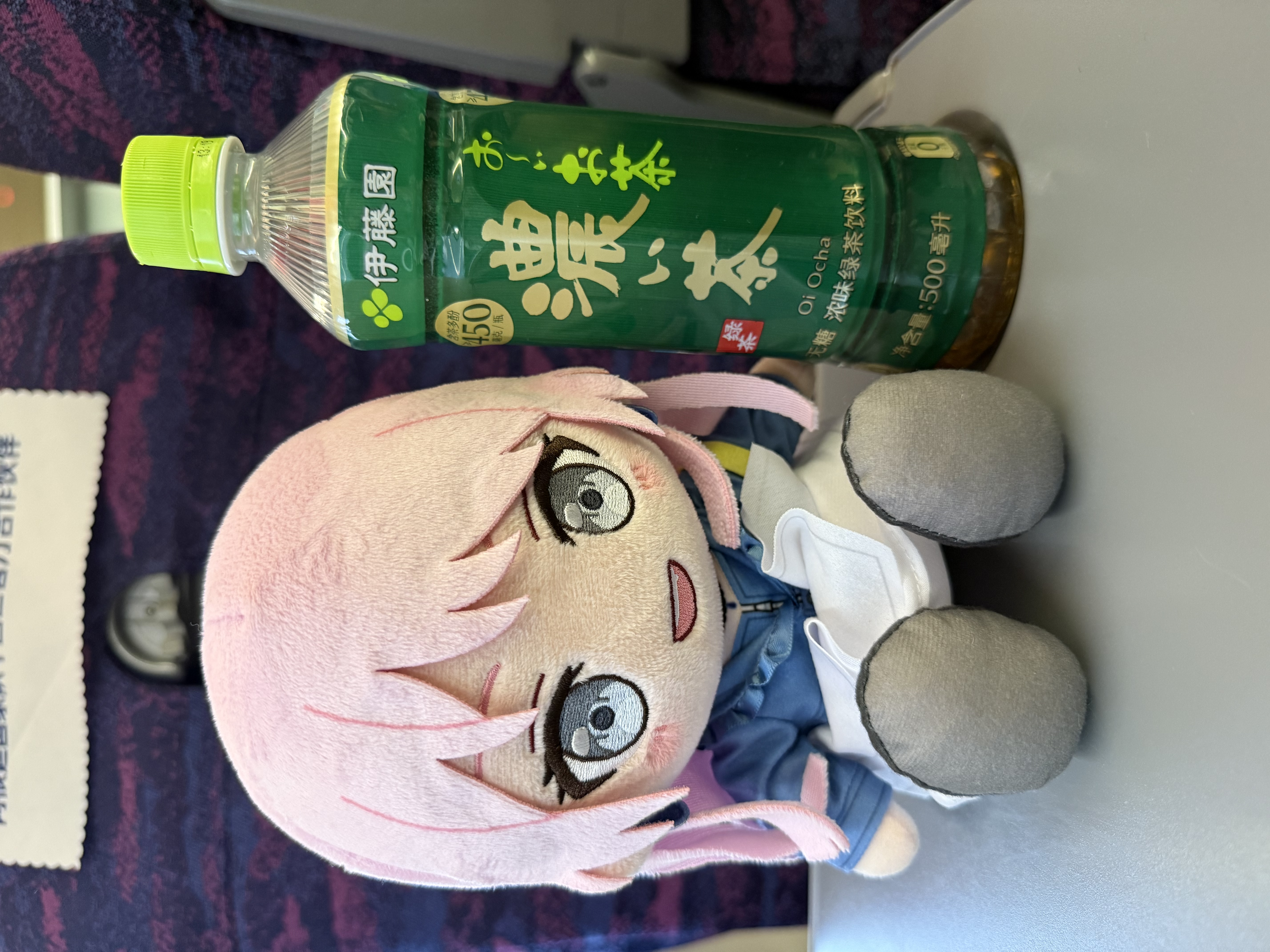 伊藤园（ITOEN）绿茶 500ml*15瓶 整箱 茶叶饮料无糖茶饮料 0糖0脂0卡饮料 健康 实拍图