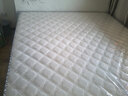 万里长城牌【补贴】整网弹簧独立弹簧椰棕乳胶床垫1.8米护脊环保软硬双功能 【补贴】A升（整网簧+椰棕）22cm 【补贴】1800*2000 实拍图