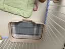 HELLOJOY狗厕所中型小型犬专用防踩屎便盆尿尿盆非不锈钢大小便神器狗砂盆 实拍图
