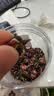 同仁堂品牌 北京同仁堂玫瑰花80g玫瑰花干玫瑰花茶送女神中秋节礼品 实拍图