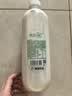 清蓝生椰牛乳1.25L*6瓶整箱 鲜榨椰汁浓醇牛奶椰奶双蛋白饮料早餐奶 实拍图