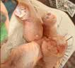 正大琵琶腿2斤 【美食大赛同款】鸡腿鸡肉鸡腿肉生鲜早餐 实拍图