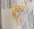 中国黄金（CHINA GOLD）足金碎冰冰四叶草黄金项链女2026轻奢吊坠生日礼物送女友老婆结婚 送礼推荐【浪漫礼盒】足金吊坠  赠镀金银链 实拍图