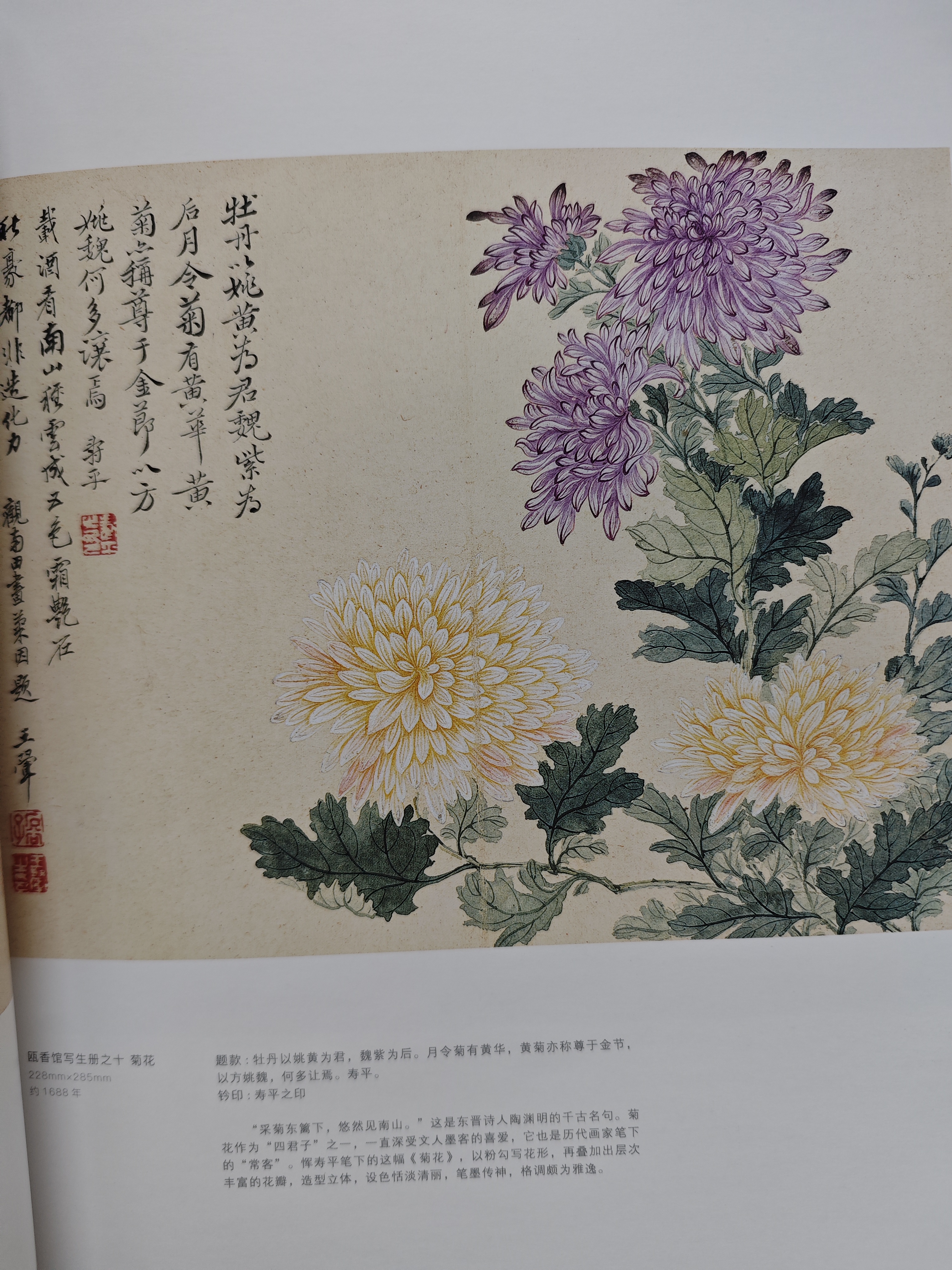 经典全集 恽寿平画集 8开中国画临摹画册书籍写意水墨国画山水花卉花鸟技法教材高清临本册页百花图卷名作赏析鉴赏收藏 杨建飞主编 实拍图