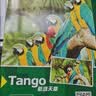 天章 （TANGO）相纸A4高光面喷墨照片打印纸230g宣传名片菜单家庭相册日常打印旅行记录100张/包新绿天章 实拍图