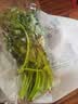 【火锅季】七鲜24小时富硒香芹苗 250g(长度≤40cm) 实拍图