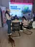 趣行消防地贴 安全出口直行6片耐磨地面不干胶火灾逃生疏散标识指示牌 实拍图