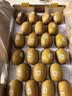 佳沛（zespri）新西兰金奇异果10粒巨大果146-175g猕猴桃水果礼盒 实拍图