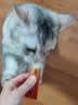 红狗【金标系列】化毛膏10g尝鲜装猫咪化毛膏猫咪营养膏化毛球片排毛 实拍图