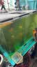 大禹德邦鱼缸除藻剂不伤鱼去除藻除青苔除苔剂除绿藻去黑毛藻褐藻 实拍图