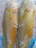 海名威 冷冻黄花鱼700g/2条 宁德大黄鱼 海鱼 生鲜鱼类 海鲜水产 国庆 实拍图