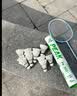 匹克羽毛球12只装耐打口粮球鸭毛稳定专业训练比赛专用球穿云06 实拍图