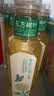 农夫山泉东方树叶茉莉花茶500ml*15瓶无糖茶饮料0糖0脂0卡整箱装 实拍图