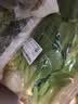 上海青约500g(油菜) 实拍图