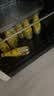 可口可乐怡泉可口可乐怡泉 Schweppes +C 柠檬味汽水 碳酸饮料 400ml*12瓶 实拍图