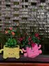 乐高（LEGO）积木11506 心动的信号同款摇滚盆栽男女孩儿童玩具生日礼物 实拍图