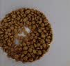 皇家（ROYAL CANIN）泌尿道处方猫粮LP34稀释尿液溶解鸟粪石结石猫全价处方粮1.5KG 实拍图