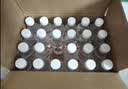 娃哈哈纯净水晶钻瓶350mL*24瓶纸箱装小瓶装水包装随机 哇哈哈饮用水 实拍图