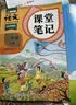 2026斗半匠课堂笔记一年级上册语文人教版黄冈学霸笔记教材全解小学一年级同步教材课前预习课后复习辅导书 开学季 实拍图
