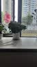 花翁栀子花盆栽四季开花卉大全树苗室内绿植好养易活茉莉花源头直发 实拍图