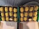 佳沛（zespri）新西兰金奇异果12粒特大果124-146g猕猴桃水果礼盒 实拍图