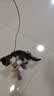 欢宠网猫玩具猫咪逗猫棒羽毛铃铛互动自嗨解闷耐咬神器猫猫小猫幼猫宠物 实拍图