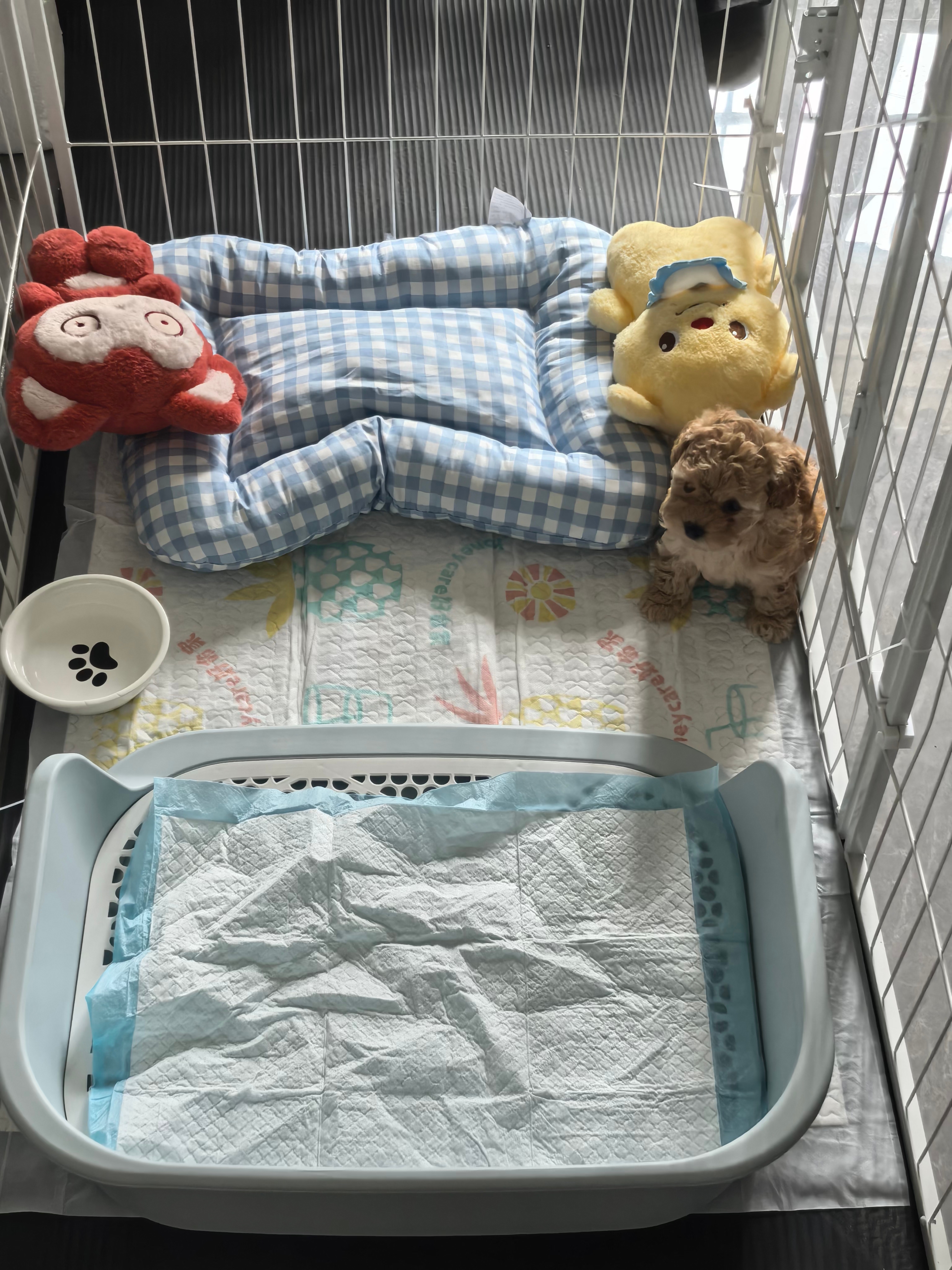 HELLOJOY狗厕所灰色大号自动泰迪狗狗用品尿盆便盆小型犬中型宠物冲水围栏 实拍图