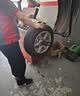 玲珑轮胎汽车轮胎195/65R15 91V 玲珑臻选HD 适配卡罗拉/朗逸/雷凌/宝来 实拍图