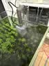 森森（SUNSUN）鱼缸过滤器壁挂式外置过滤泵水族箱过滤器HBL-302 3W 实拍图