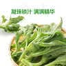 【水果菜】冰草 250g 实拍图