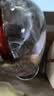 五粮液股份 1218 浓香型白酒 52度 500ml*2瓶 优级酒 宜宾产宴请送礼 实拍图