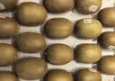 佳沛（zespri）新西兰金奇异果22粒巨大原箱146-175g猕猴桃中秋节礼品送水果礼盒 实拍图