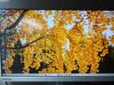 联想（Lenovo）小新原天逸510S商务办公台式电脑主机(AMD R7 H-255 16G内存 512G SSD 正版office)23.8英寸 实拍图