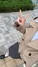 欧莱雅黑胖子气垫亚麻限定版240自然健康持妆中秋节礼物送女友 实拍图