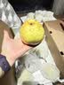 京鲜生 长城河北雪花梨 冰糖雪梨 净重10斤装 单果250g+ 新鲜水果 实拍图