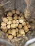 味滋源新疆薄皮核桃1500g 阿克苏特产原味坚果非特级纸皮 新货 实拍图