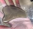 梳佳人天然白水牛角刮痧板全身通用脸面部美容中医专用工具正品京东自营 实拍图