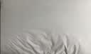 水星家纺枕头可机洗枕芯护颈枕颈椎枕助睡眠成人A类纯棉深度睡眠单人一只 实拍图