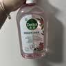 滴露（Dettol）衣物消毒液自然香氛洗衣除菌液 除螨48h留香1000ml*1灭活白念珠菌 实拍图