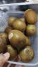 佳沛（zespri）新西兰金奇异果12粒特大果124-146g猕猴桃中秋节礼品送水果礼盒 实拍图
