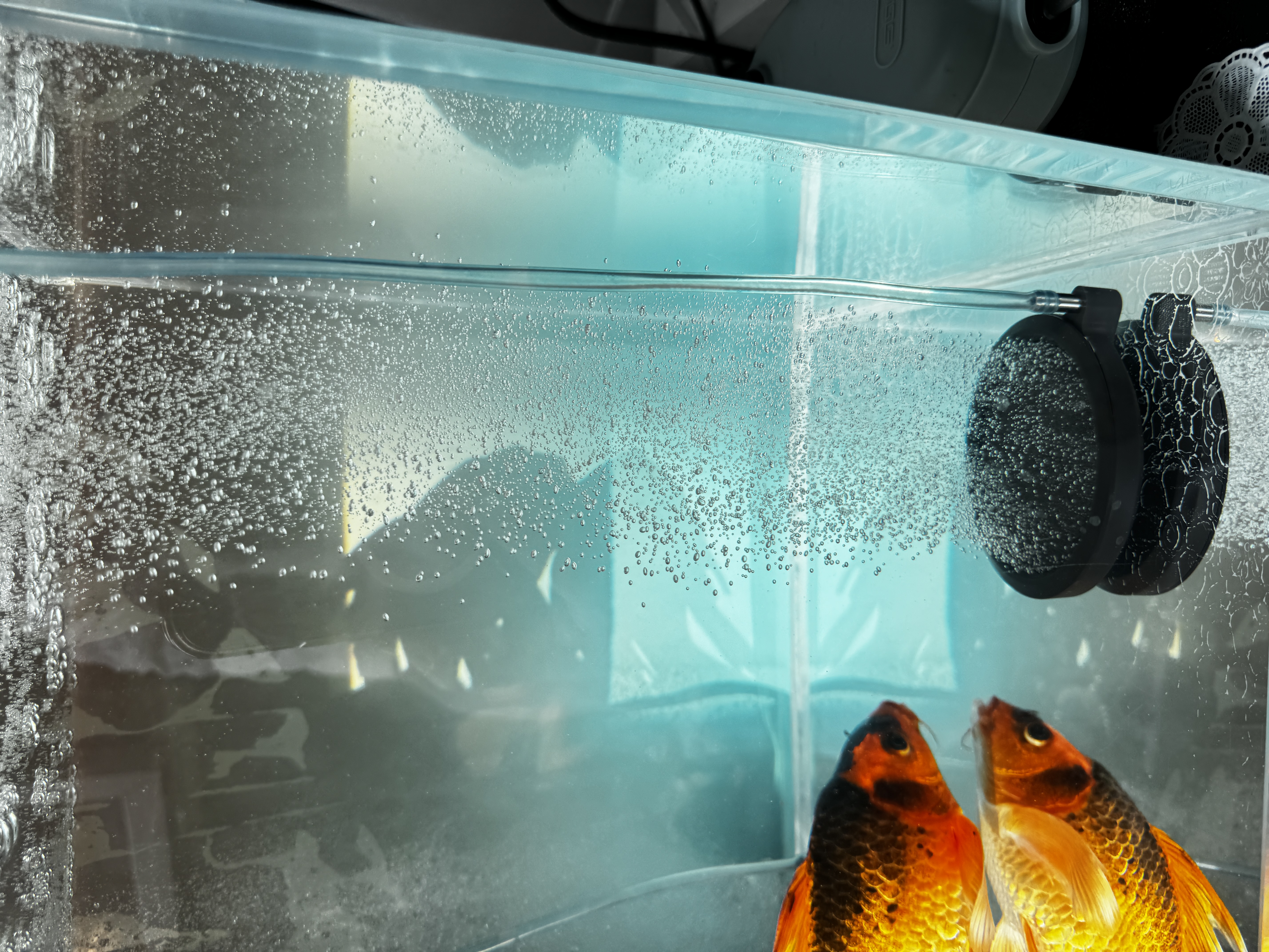鱼呼吸鱼缸增氧气泵配件直径8cm【纳米沙盘*2个】加泡细化溶氧饼石家用 实拍图